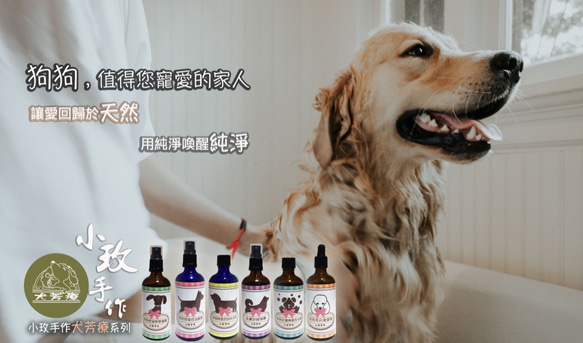 小玫手作『犬芳療』狗狗皮膚療癒洗毛劑 第4張的照片