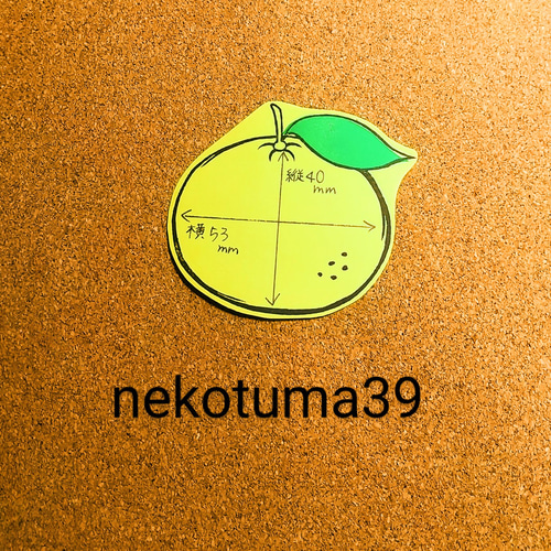 種類が増えました！❮送料無料❯26枚 柑橘なちょこっとメッセージ