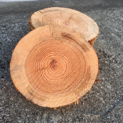 訳あり 杉丸太ニス塗り加工 4枚セット ウェルカムボード かあさん