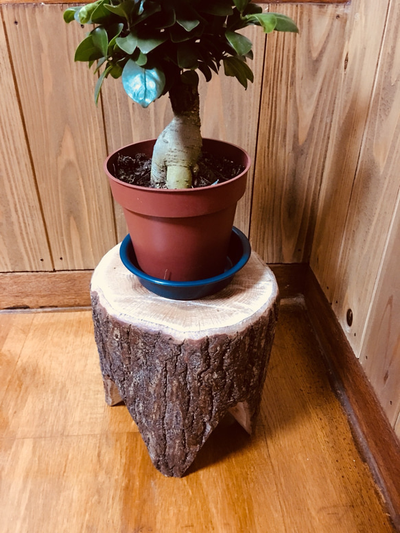 クヌギ丸太スツール 大人気！！ とてもキュートな仕上がりです♩ 椅子