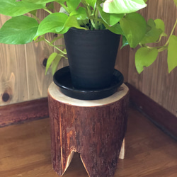 すぎ丸太輪切り 全面磨き、ニス加工仕上げ ウエディングボード用