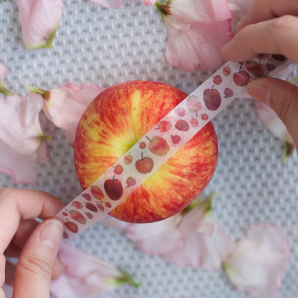 Anemos Washi Tape –Fuji Apple 2枚目の画像