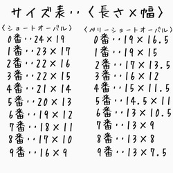 シースルーチェックネイル 3枚目の画像