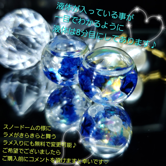 ꫛꫀꪝ♥限定❣液体ガラスドーム スワロフスキー&パール　ハーバリウムピアス　BG 2枚目の画像