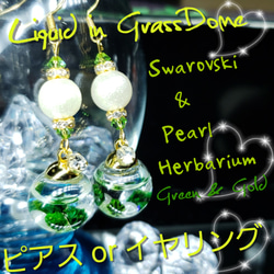 ꫛꫀꪝ♥限定❣液体ガラスドーム スワロフスキー&パール　ハーバリウムピアス　GG 1枚目の画像