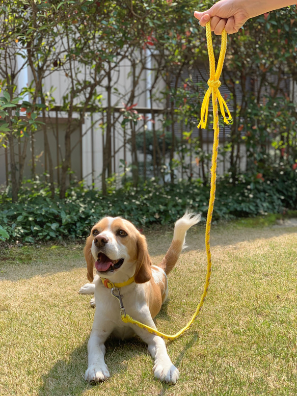 シンプルリード　パラコード中型犬（黒×グレー） 6枚目の画像