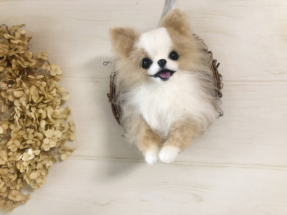羊毛フェルト にこにこチワワちゃん 羊毛フェルト にこにこリラックス