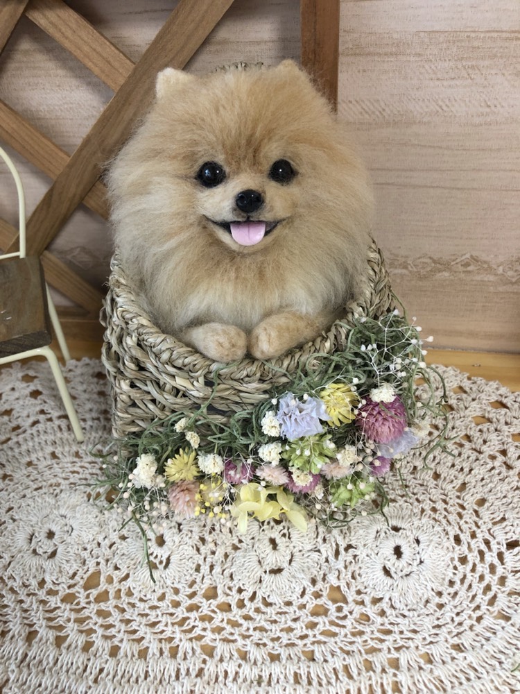 羊毛フェルト リラックスポメラニアン ケース付き 白ポメ - 羊毛