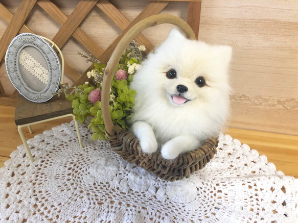 羊毛フェルト　ポメラニアン ニコニコポメちゃんのリース 羊毛フェルト ポメラニアン 羊毛