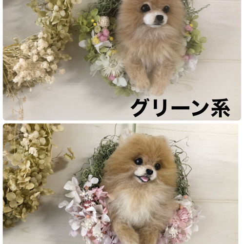 羊毛フェルト にこにこマルチーズ のフラワーリース 花の色は選択 羊毛 