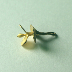 桉樹耳環吊飾（黃銅） 第6張的照片