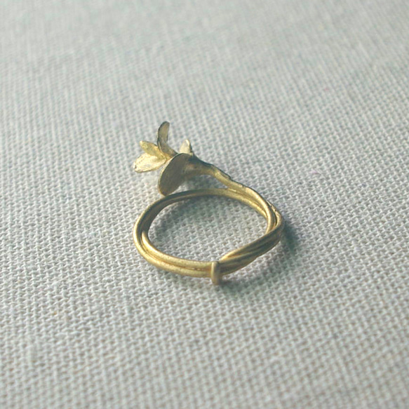 ユーカリの指輪（真鍮) 1枚目の画像
