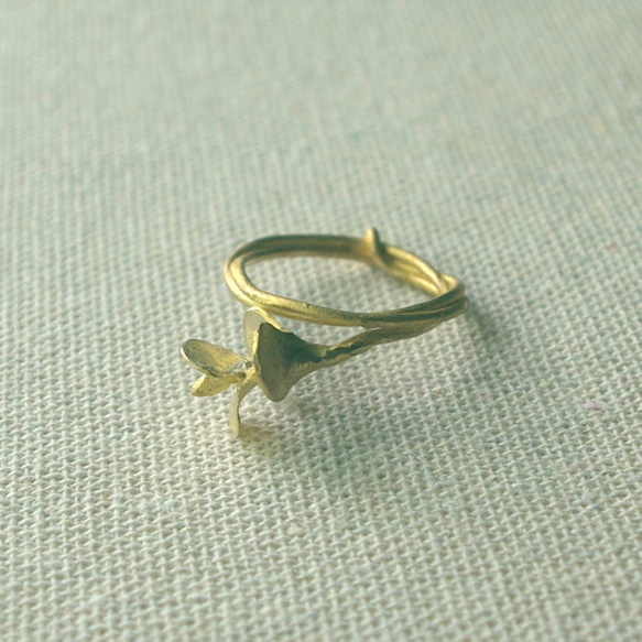 ユーカリの指輪（真鍮) 5枚目の画像