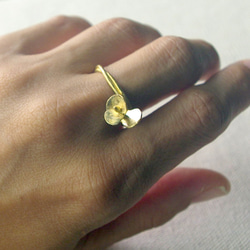蕾絲戒指（黃銅) 第6張的照片