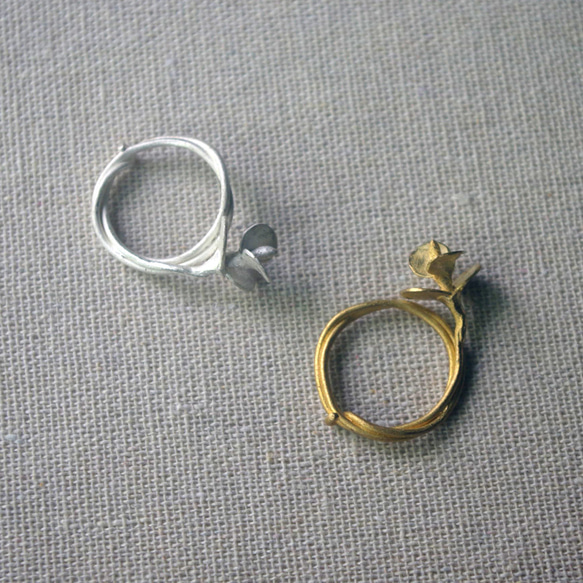 ユーカリの指輪（真鍮) 9枚目の画像