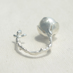 橄欖花苞戒指（銀・貝珍珠） 第5張的照片