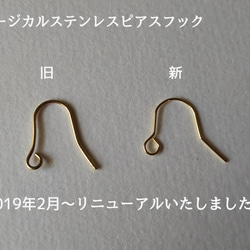 とうがのピアス（真鍮） 3枚目の画像