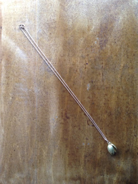 ピスタチオのネックレス（真鍮・ローズクオーツ） 5枚目の画像