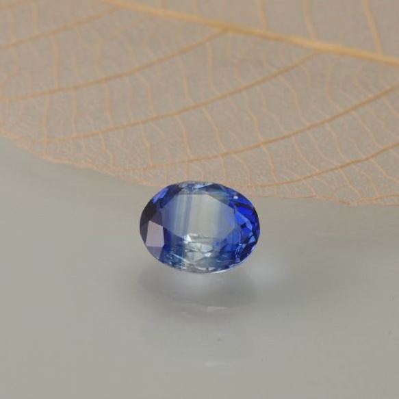 尼泊爾生產雙色藍晶石0.95ct B-1005厘米的 第1張的照片