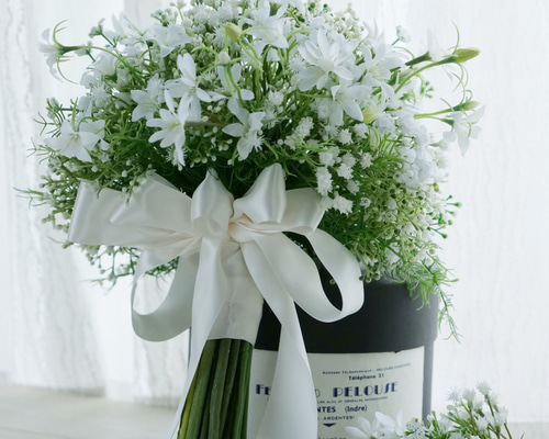 1_3d6d697521d6e2c2ca52accfaef3