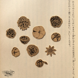 木の実のフレークシール 2枚目の画像