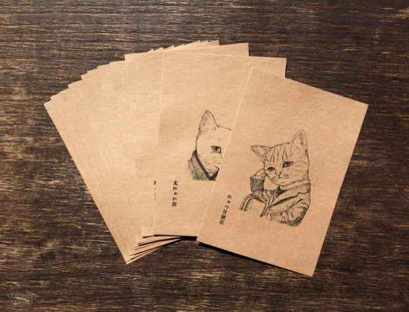 ポストカード☆文豪猫☆12枚 1枚目の画像