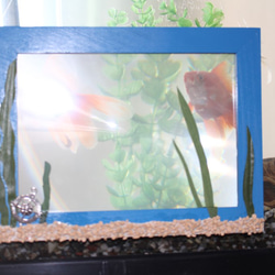 金魚のぞき窓　清流ブルー（大） 1枚目の画像