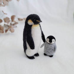 國王企鵝親子羊毛氈套組 第1張的照片