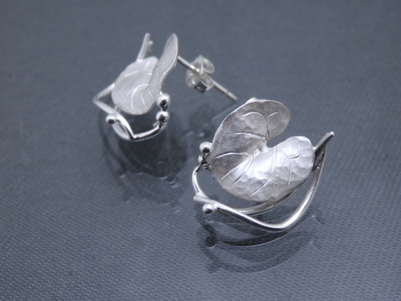 ディコンドラの葉の耳飾り(銀のピアス) 3枚目の画像