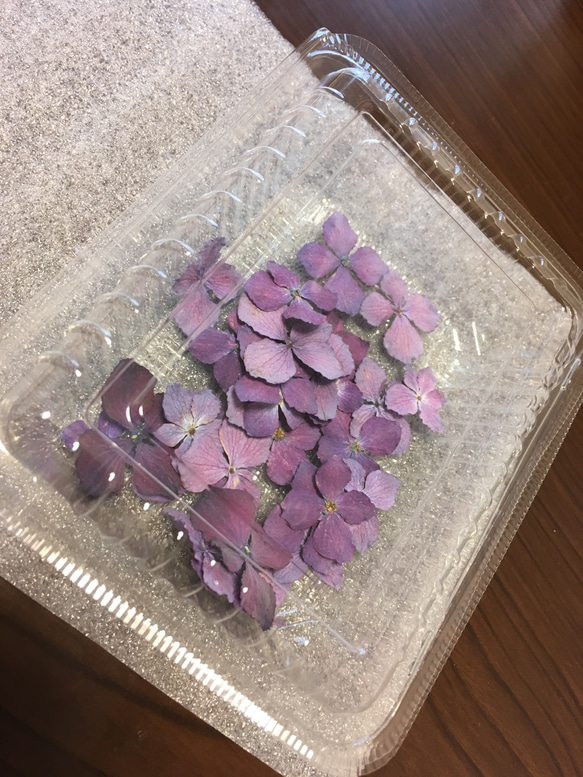 紫陽花 ドライフラワー ピンク 2枚目の画像