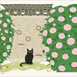 たびねこポストカード｜Aセット（6枚入り） メッセージカード もり