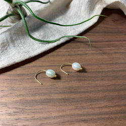 淡水不規則な真珠のイヤリング|真鍮のイヤリング 1枚目の画像