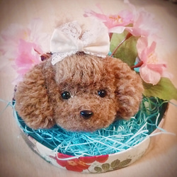 1_b36f6fee8d1cea2d46a01d1bc6aa