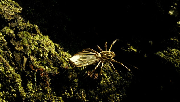 蜘蛛 -真鍮ネックレス- 2枚目の画像