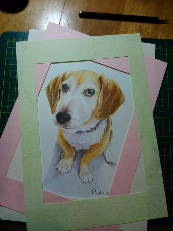 色鉛筆寵物畫像(含框) 第3張的照片