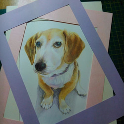 色鉛筆寵物畫像(含框) 第4張的照片