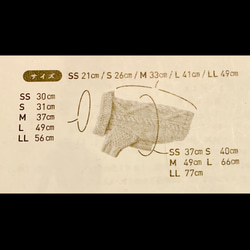  第6張的照片