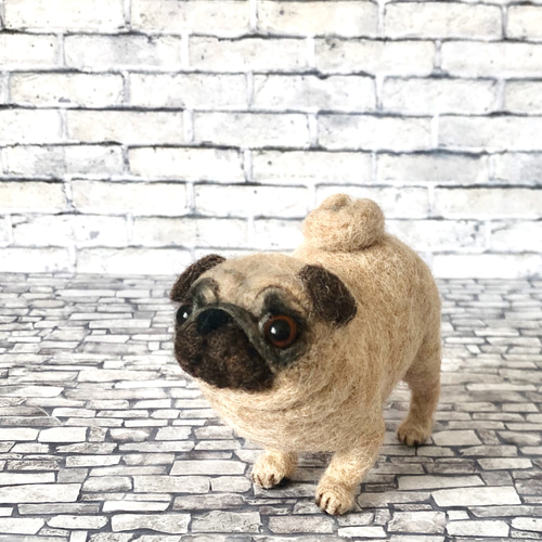 羊毛フェルト ミニサイズのリアルなパグさん 羊毛フェルト 羊のおくり