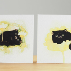 黒猫と花と「ヌクヌク」×「ポカポカ」 8枚目の画像