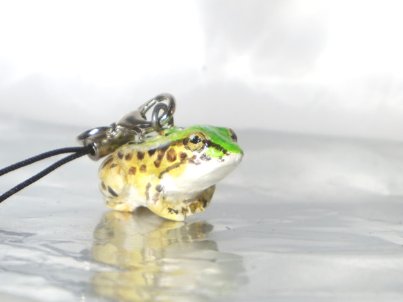 おすわりカエルストラップ<トノサマガエル> 携帯ストラップ