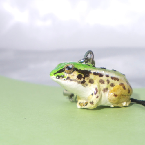 おすわりカエルストラップ<トノサマガエル> 携帯ストラップ KOMAKKOU64