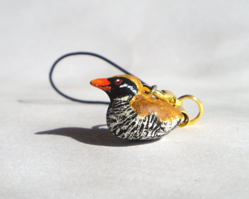 やんばるくいな ヤンバル野鳥ギャラリー - O.N.O 沖縄ネイチャーオフィス