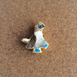 青い海のアオアシカツオドリバッジ 1枚目の画像