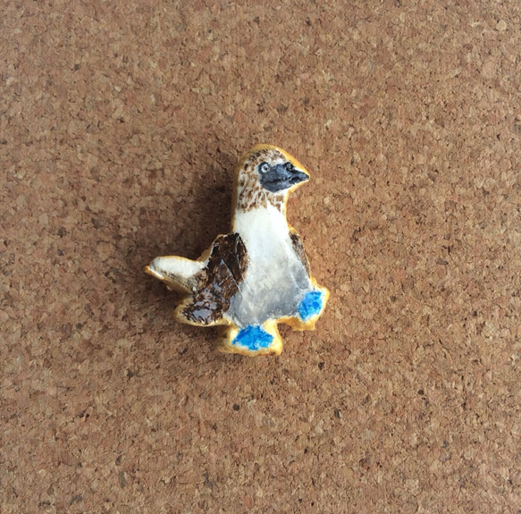 青い海のアオアシカツオドリバッジ 1枚目の画像