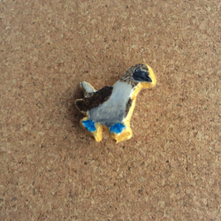 青い海のアオアシカツオドリバッジ 3枚目の画像