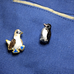 青い海のアオアシカツオドリバッジ 4枚目の画像