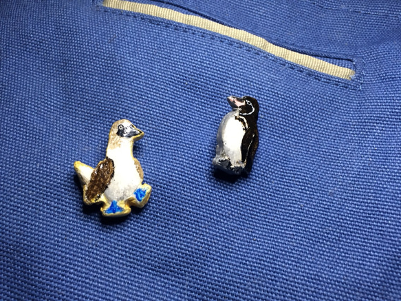 青い海のアオアシカツオドリバッジ 4枚目の画像