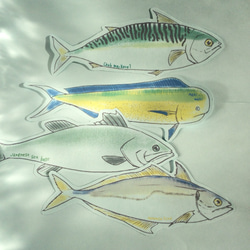魚のメッセージカード<海の恵み> 3枚目の画像