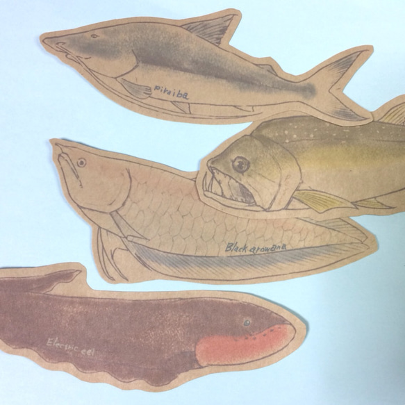 魚のメッセージカード<大河の怪魚> 3枚目の画像