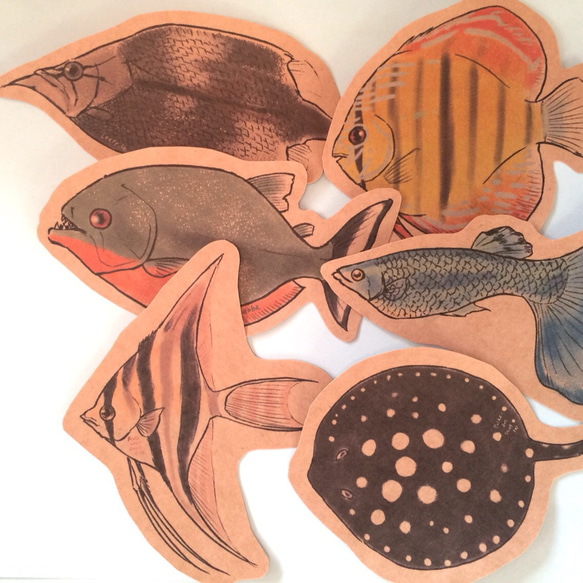 魚のコンパクトレター<彩りの熱帯魚> 3枚目の画像